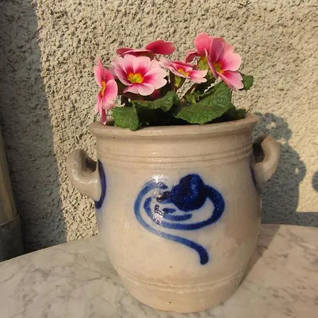 Apartment Le Vigneron